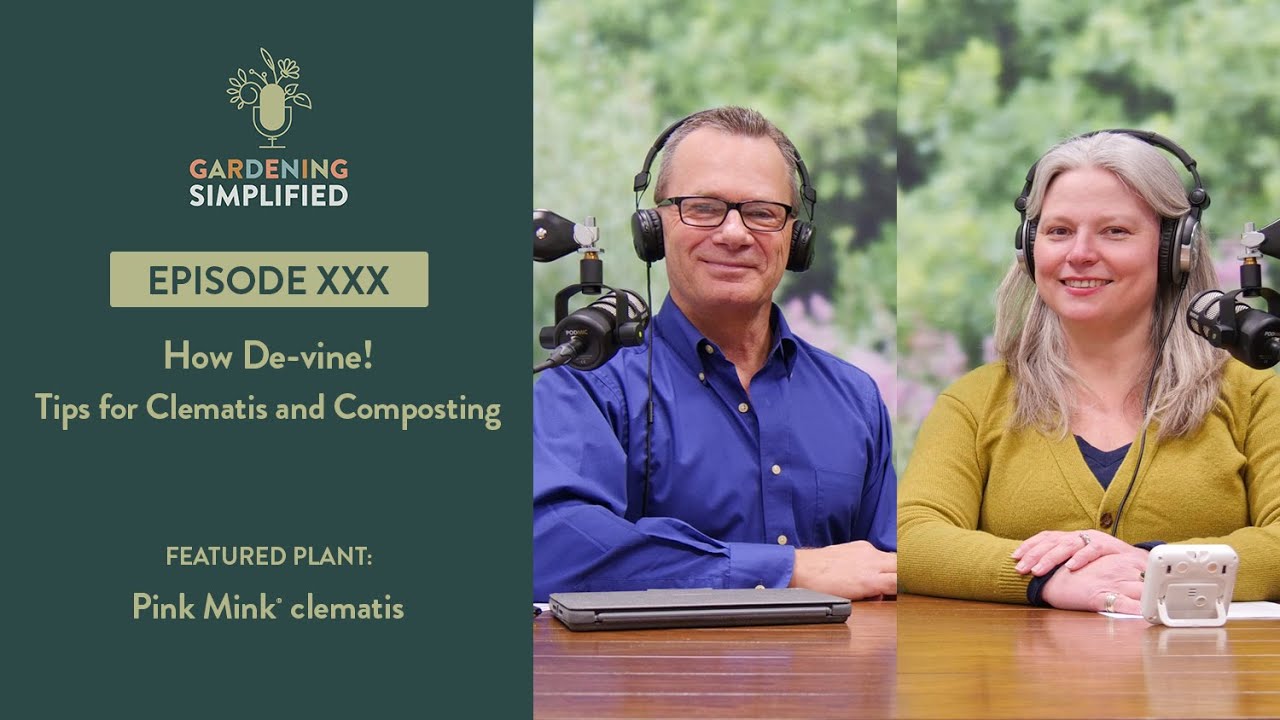 How De-vine! Tips for Clematis and Composting | Gardening Simplified Show 30