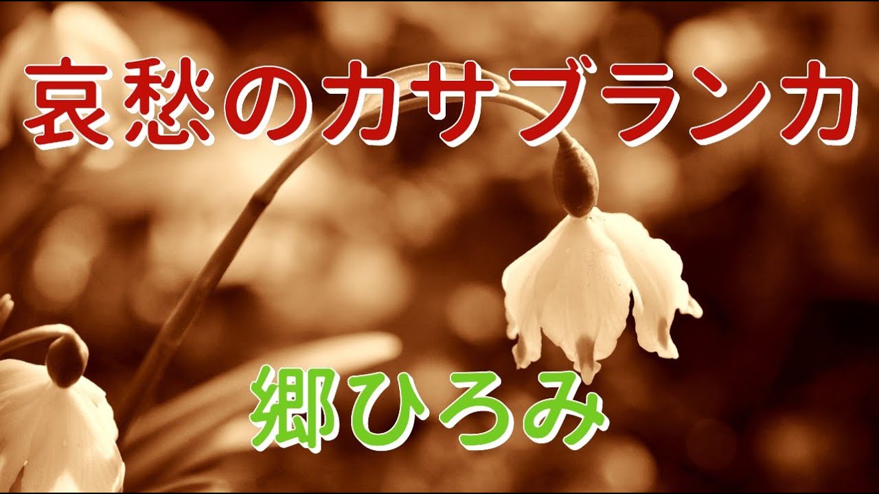 哀愁のカサブランカ／郷ひろみ【歌詞付き】
