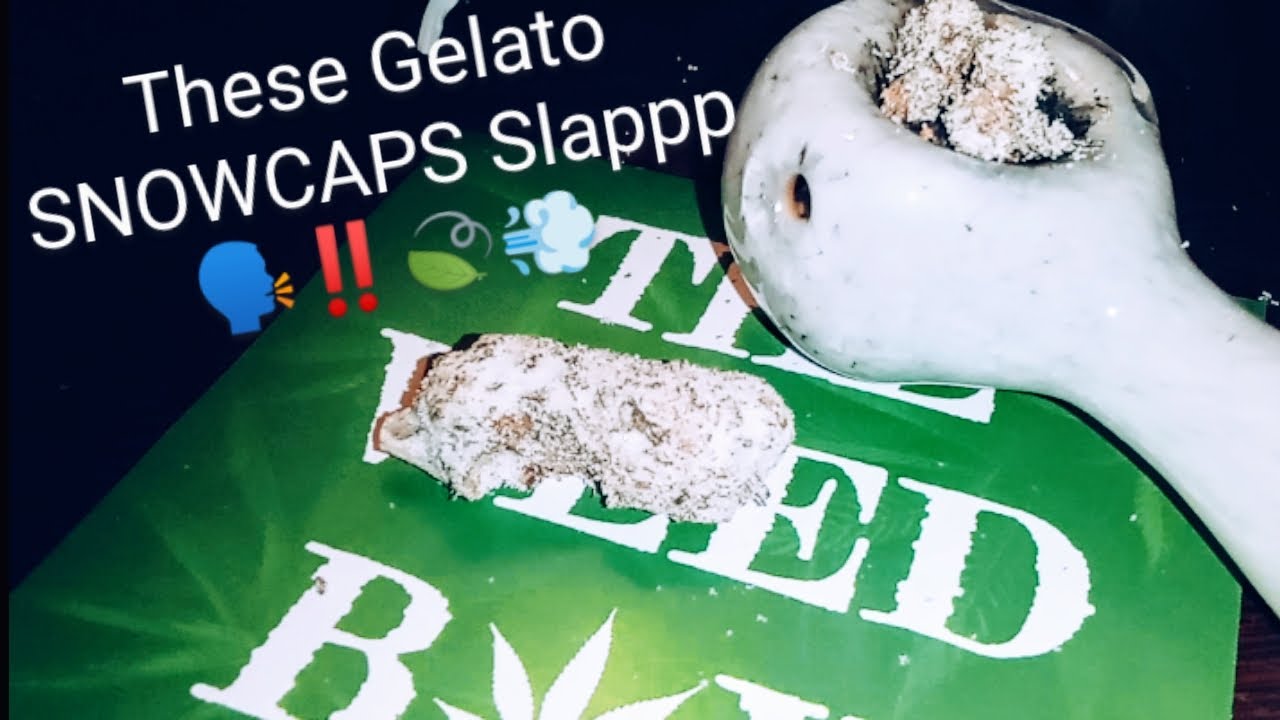 The Weed Box : THCA Gelato SNOWCAPS ☃️🔥‼️#thcareview #cannabiscommunity420 #fyp
