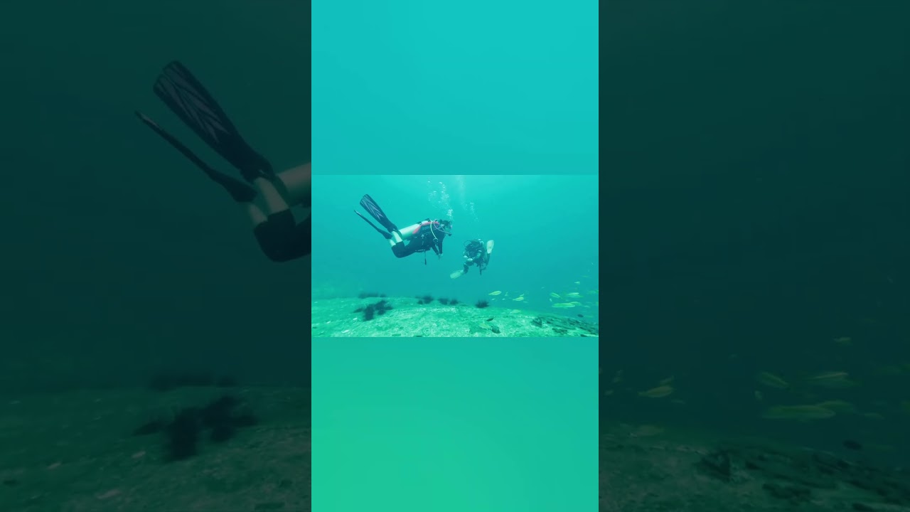 #kuantanpahang #divingadventure #malaysia #dji #pioneer1wreck #wrecksdive  #diving #muckdiving