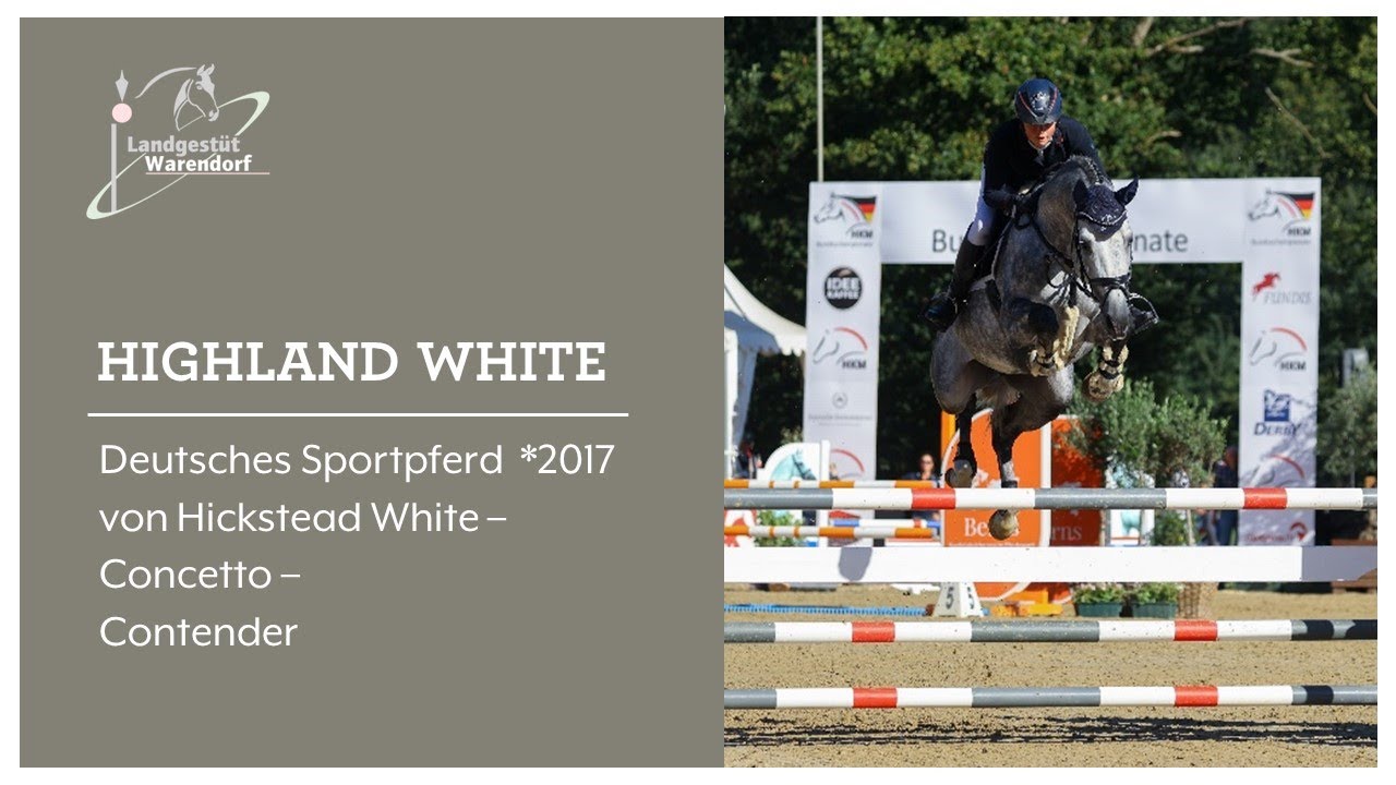 Highland White 2022 beim Bundeschampionat
