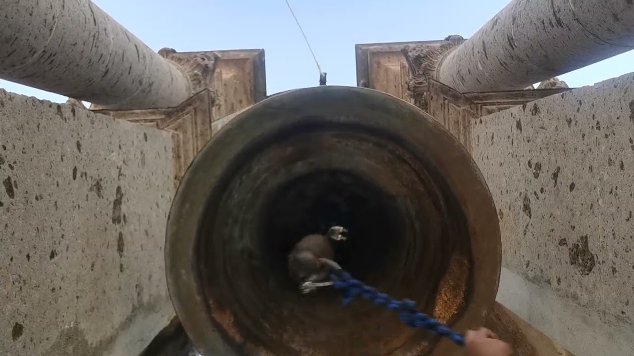 Llamada a misa en la mañana
