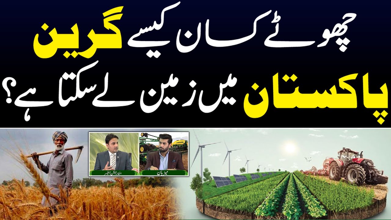 How To Get Land 🌱 Green Pakistan Land Initiative: Your Complete Guide to Getting Involved 🌱