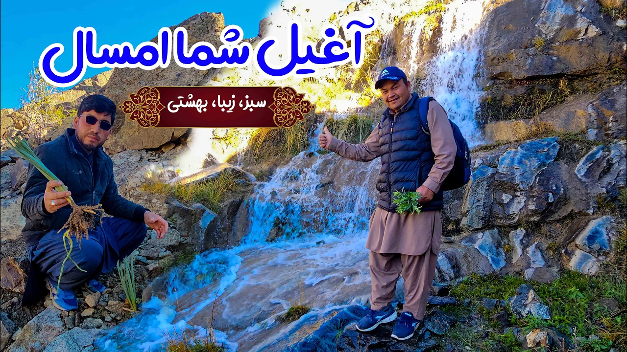 کدام آغیل است حدس بزنید ! ویدیو پهباد | گلزار جاغوری افغانستان | طبیعت زیبایی جاغوری افغانستان