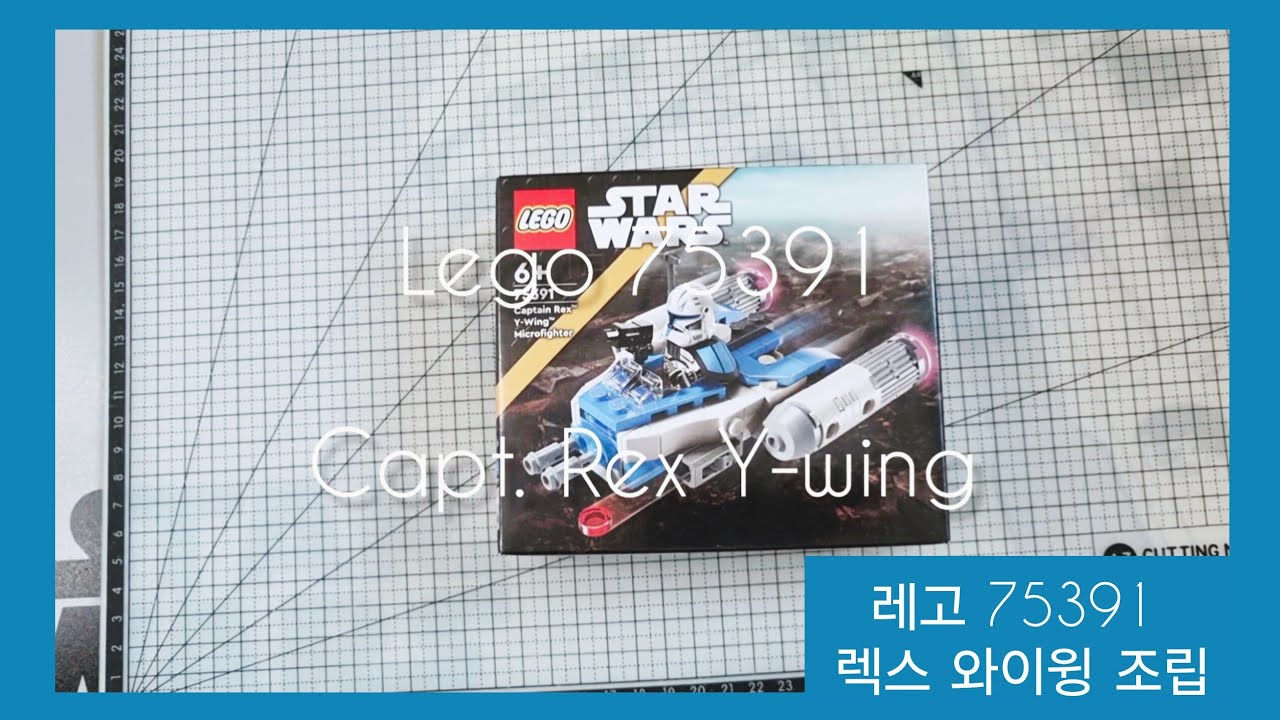 레고 렉스의 와이윙
