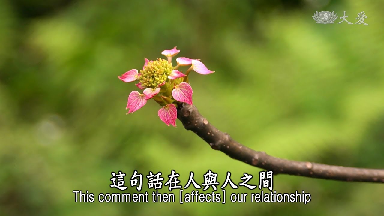 (舊版)【靜思妙蓮華】20190214 - 佛常住世 方便現滅 - 第1545集