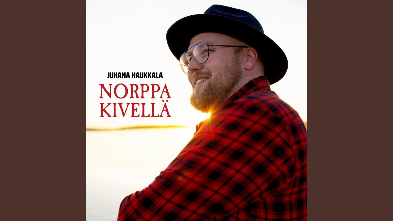 Norppa kivellä