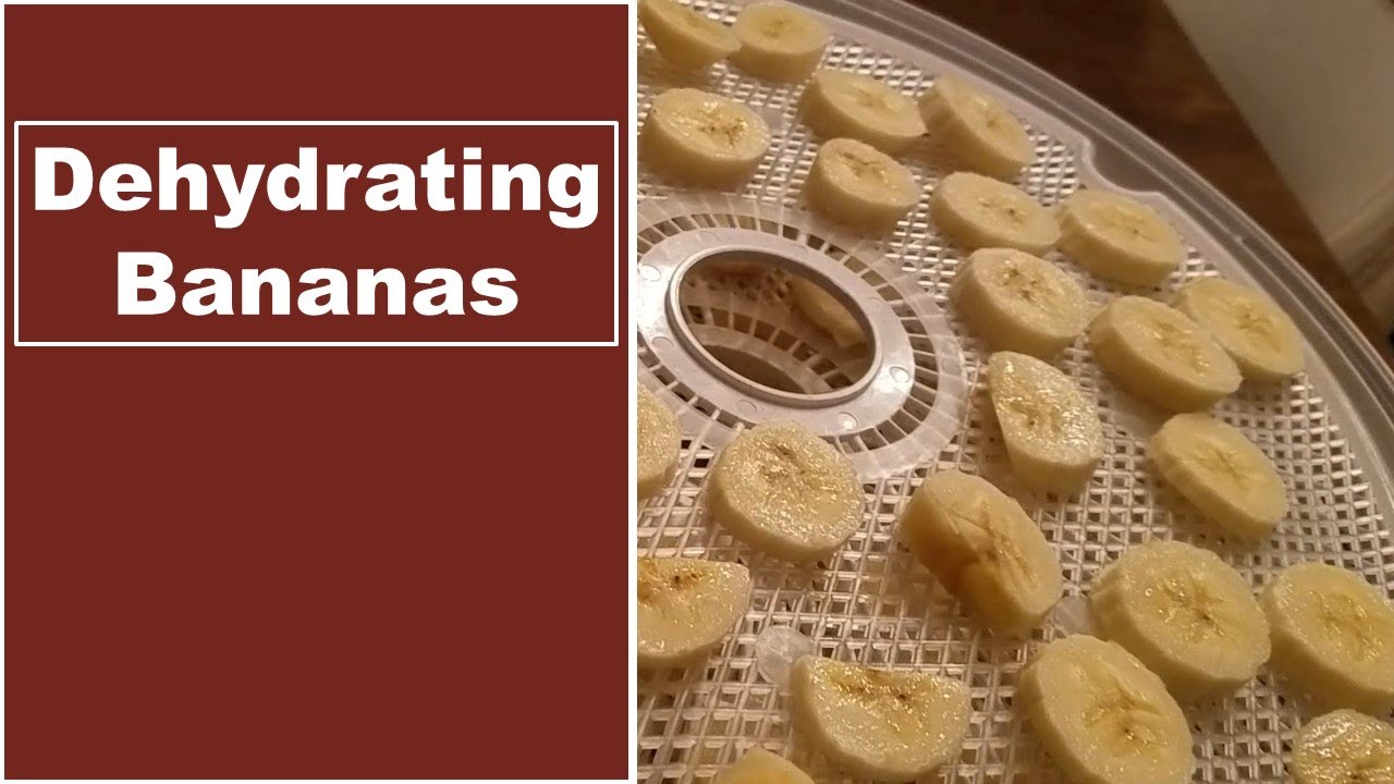 How to Dehydrate Bananas in a Food Dehydrator | Dehydrating Bananas for Long Term Food Storage