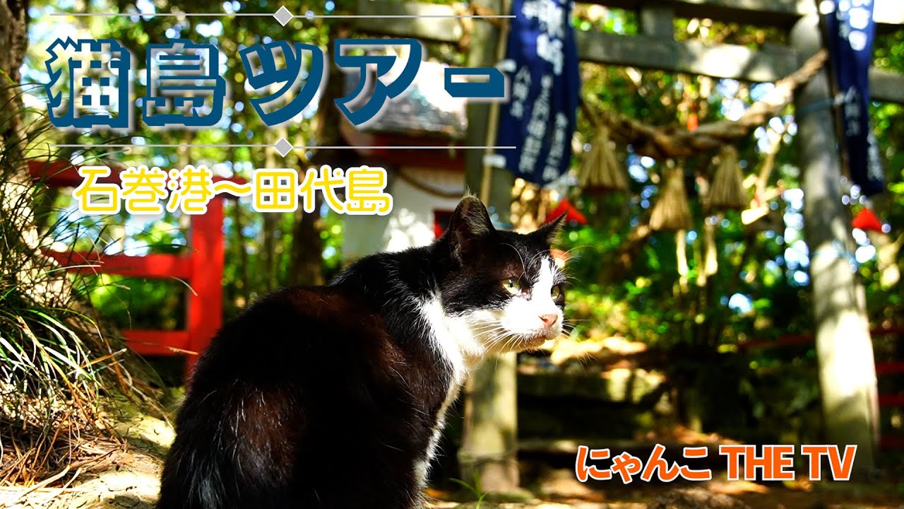 田代島ツアー