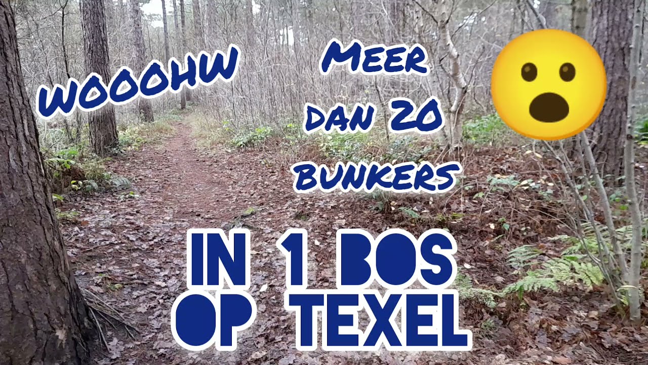 Bunkerbos op Texel met meer dan 20 bunkers (Abandoned Bunkers from second world war Atlantikwall)