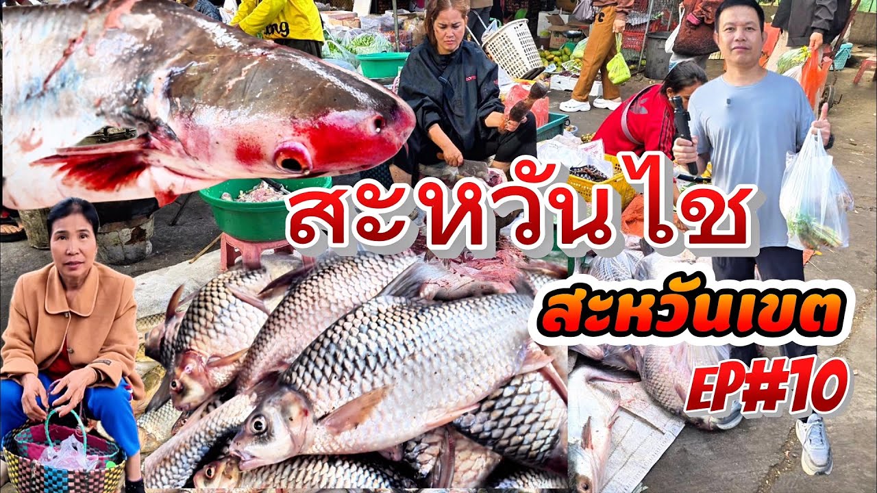 ลุงเด่นพาเที่ยว2026 EP#10ตลาดสะหวันไช ปลาแม่น้ำ ของพื้นบ้าน สุดยอดของป่าประเทศลาว