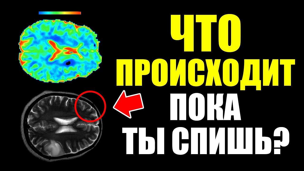 Как спать, чтобы жить дольше? Всё о сне, мелатонине и циркадных ритмах