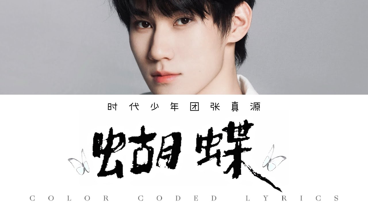 TNT张真源 — 《蝴蝶》认人歌词版 CN/PIN/ENG
