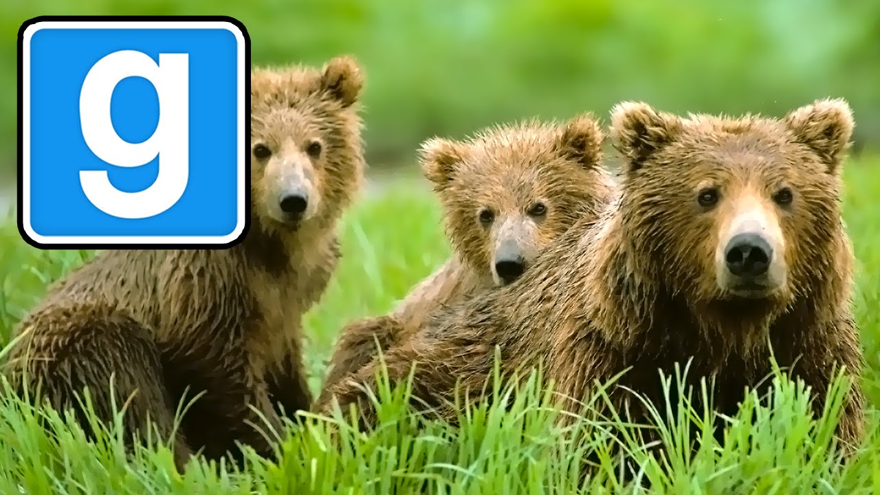 The Bears (Garry's Mod Trouble in Terrorist Town)