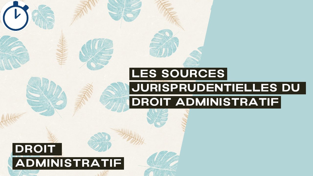 Les Sources Jurisprudentielles du Droit Administratif : [Droit Administratif]
