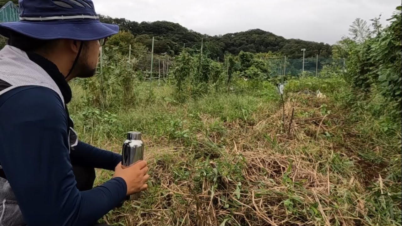 【自然農】人参の種まき/Sowing carrot, arugula and rapeseed seeds【Tsukiyomi Natural Farm/Japan】