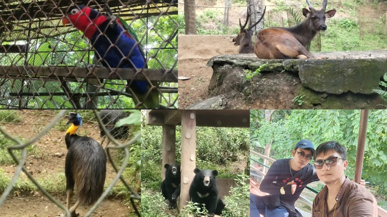 VAKI IN KAN NUIH DAN MIN ZIR SAK..(Aizawl Zoological park)