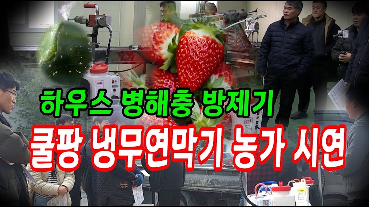 하우스 병해충 응애,나방,노린재,굴귤나방,온실가루이,흰가루병 방제기 쿨팡 냉무연막기 전국 농가방문 시연현장