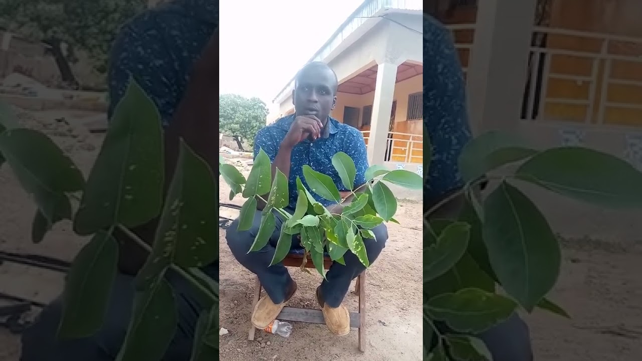 faîda pour votre aide de tout +00225 07 07 54 46 35