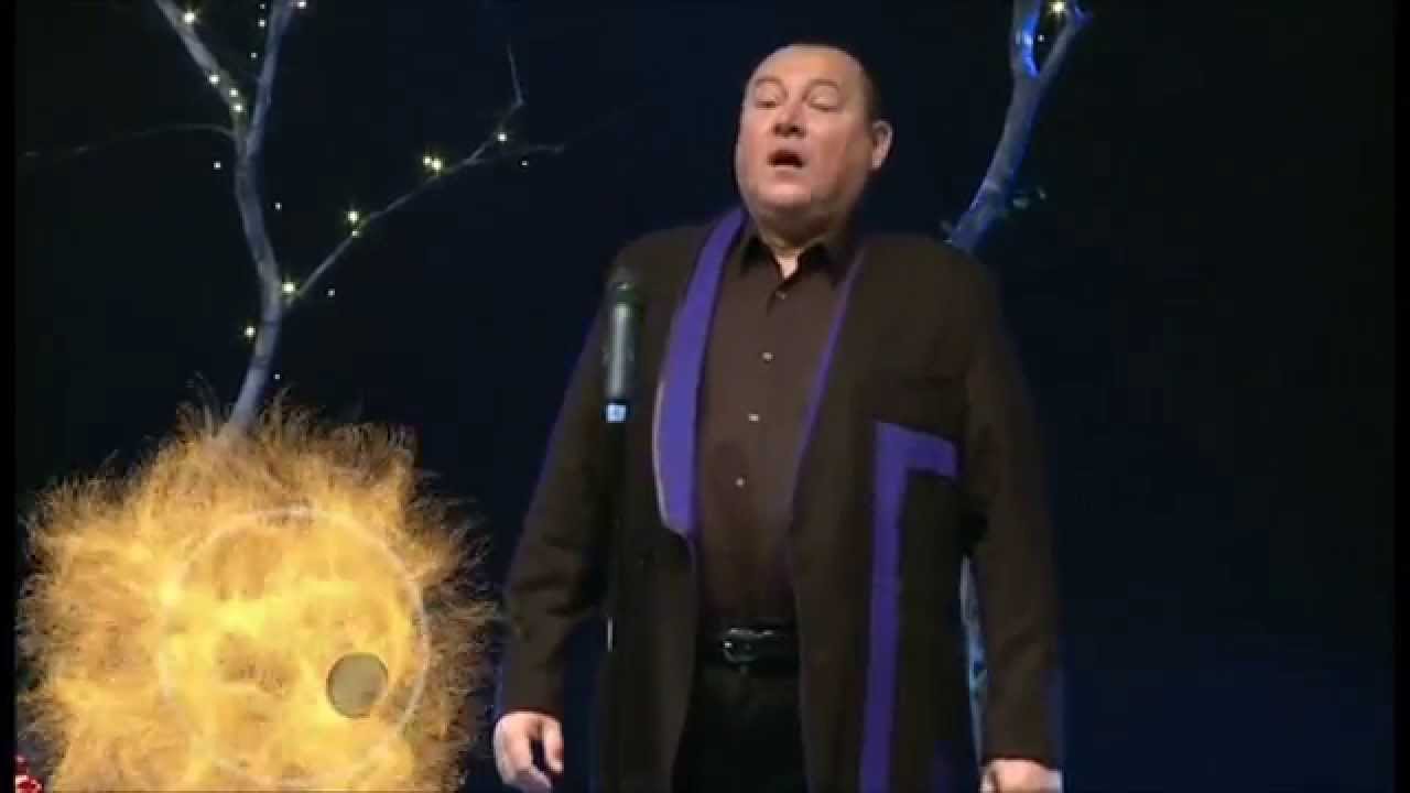 Nace Junkar - Nessun dorma (MGNZ 2012)