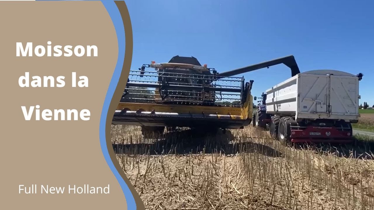 Moisson dans la Vienne 🚜🌾