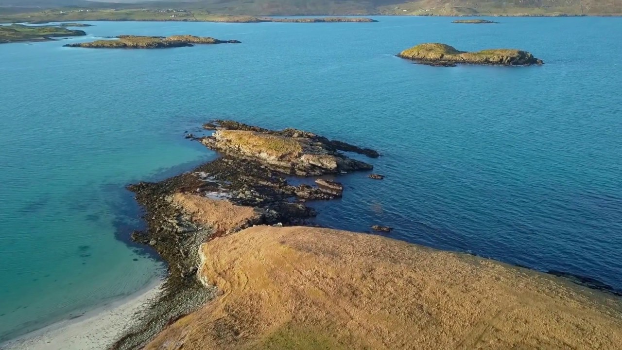 South Nesting and Lingness
