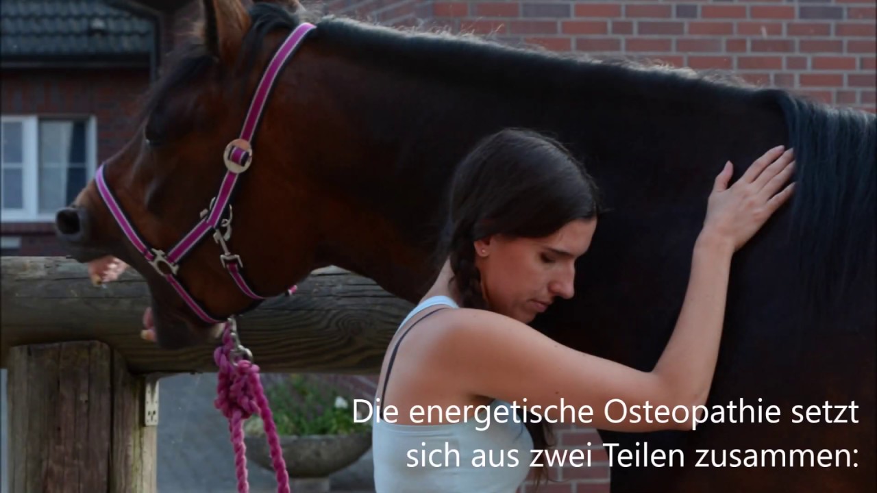 Energetische Osteopathie für Pferde ~ equi∞librium