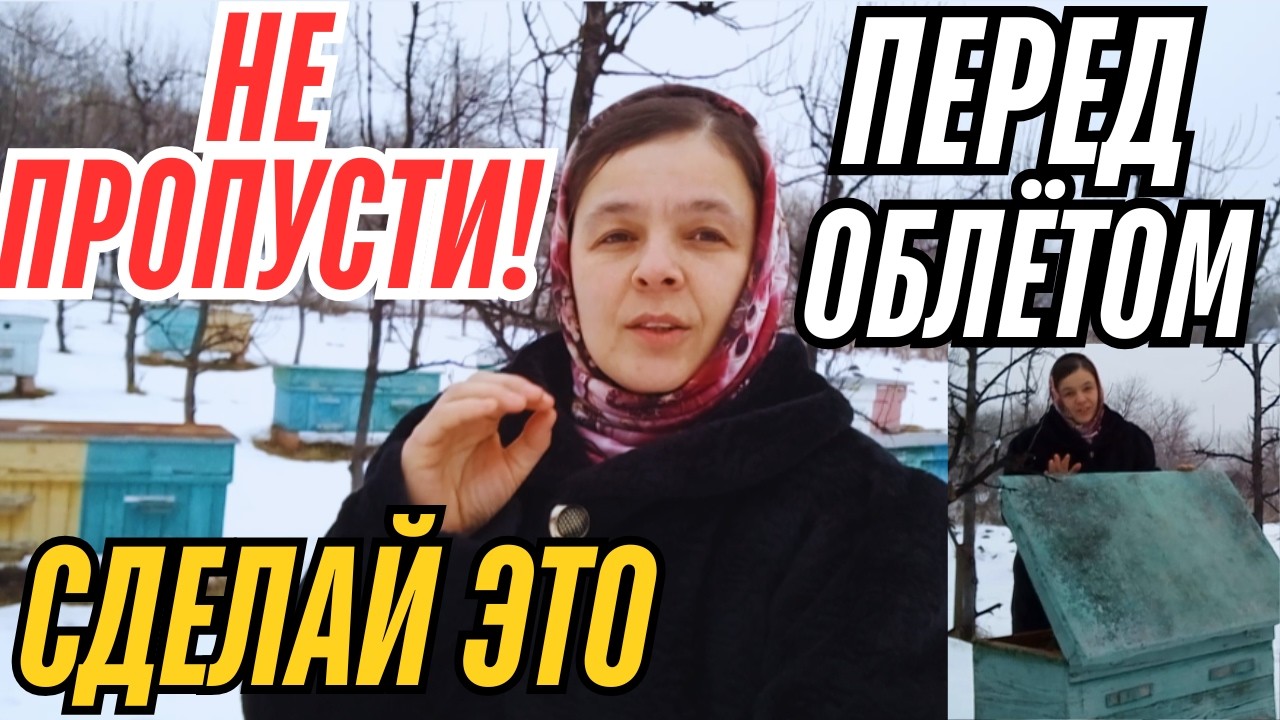 ГОТОВИМ ПЧЕЛ к весеннему облету: ОШИБКИ , которые могут загубить всю пасеку.