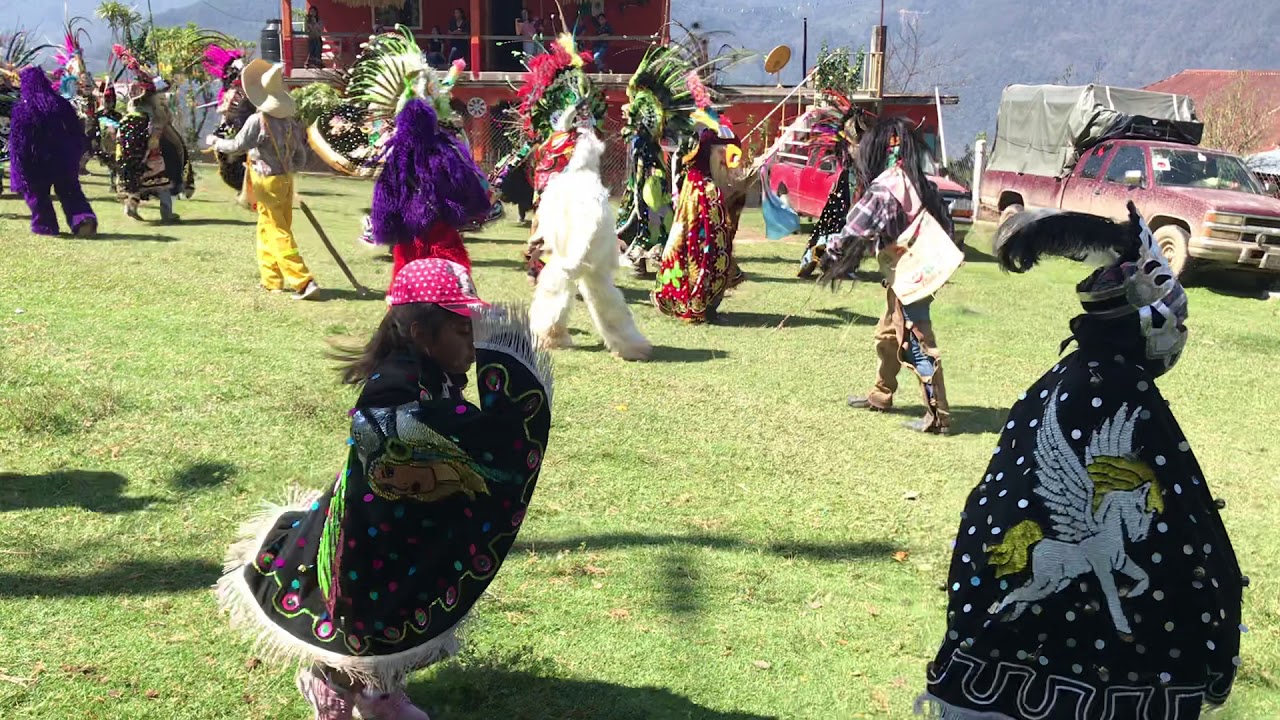 Carnaval del Batda Huayacocotla 2020