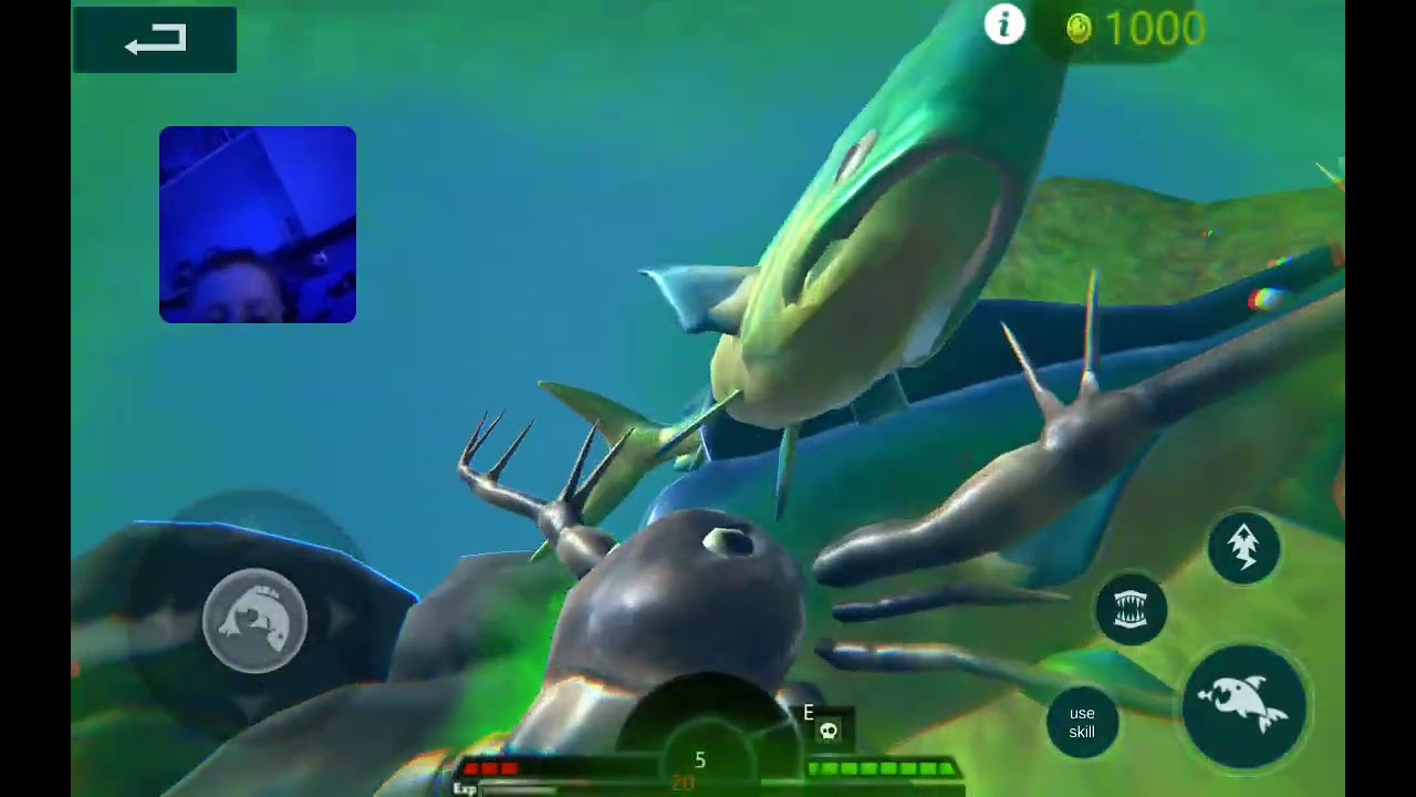 Feed and grow fish