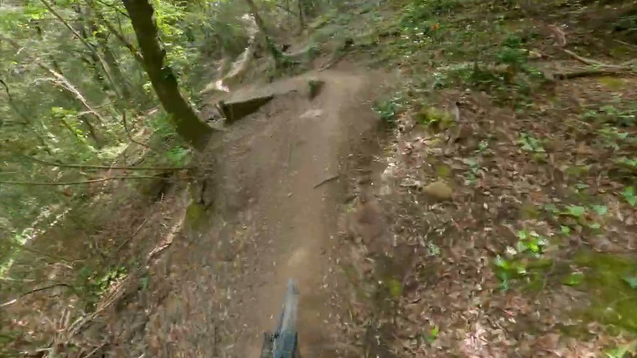 Viperone - Piombino MTB Trail Area