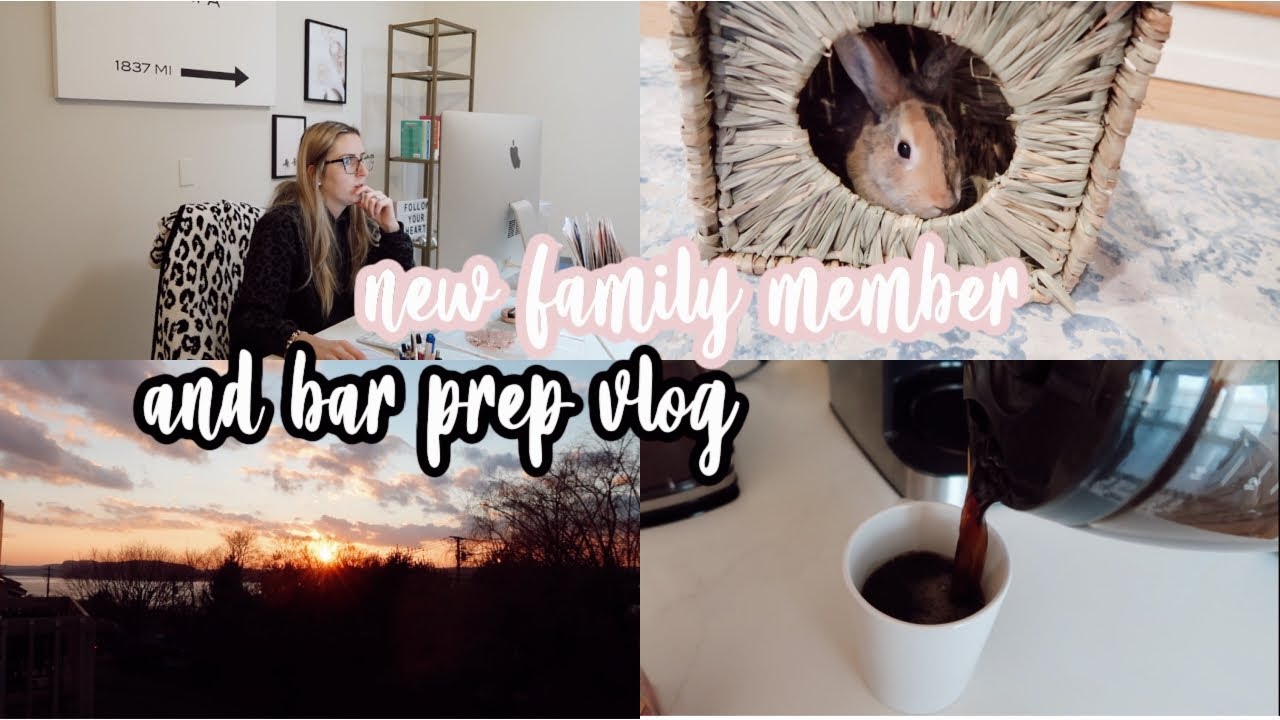 STUDYING FOR THE BAR & ADDING TO OUR FAMILY | Bar Prep Vlog