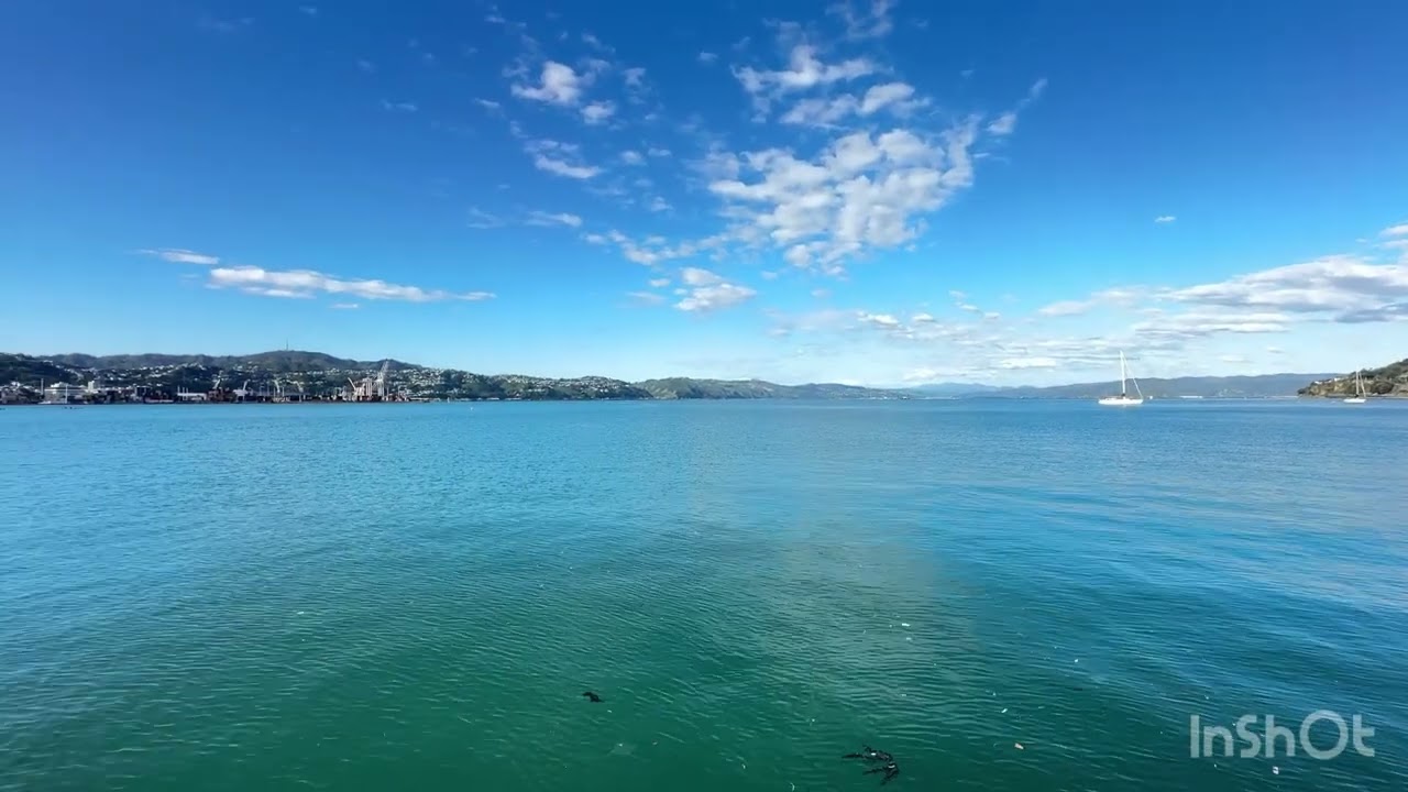 Wellington | New Zealand 