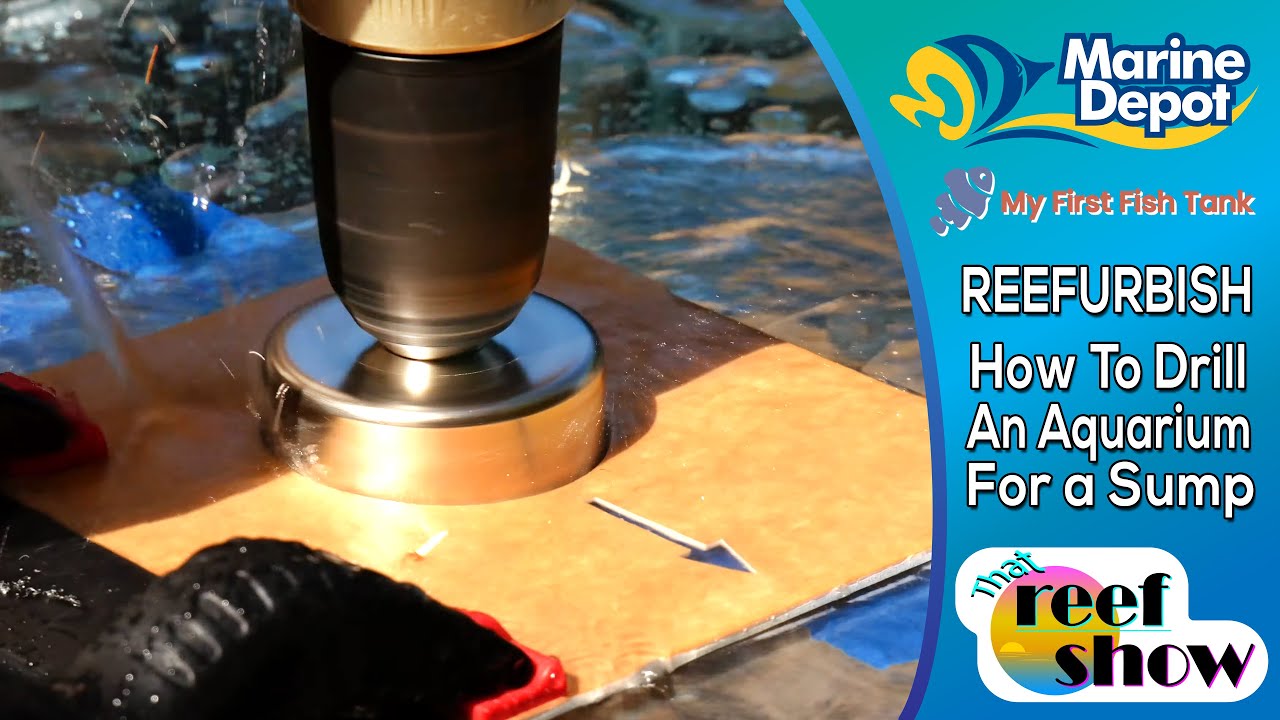 How to Drill an Aquarium: Plumbing a Sump! That Reefshow Segment, Reefurbish!