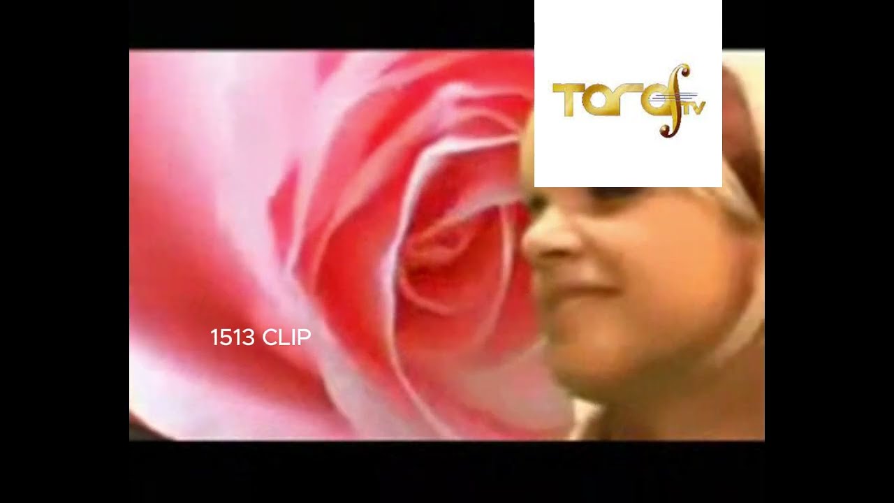 Taraf TV - Videodedicatii La 1243 (3)
