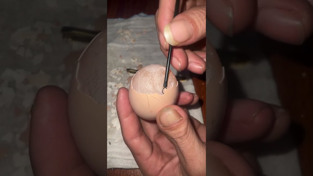 Raw Egg Peeling Challenge #17 