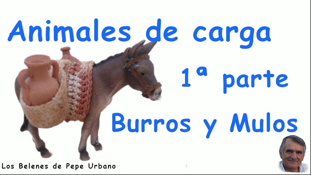 Animales de carga 1ª parte burros y mulos