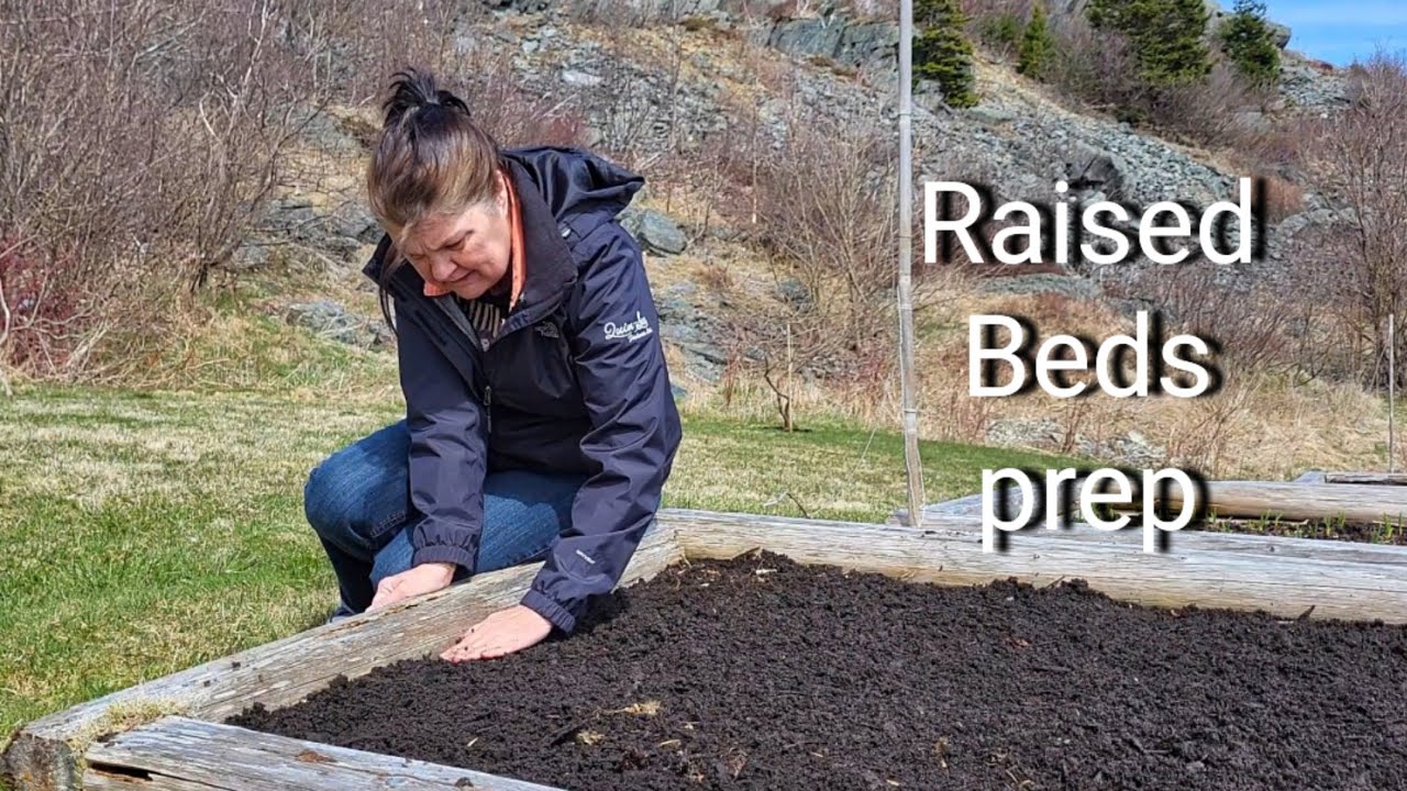 Preparing raised vegetable beds for planting. Newfoundland, Canada