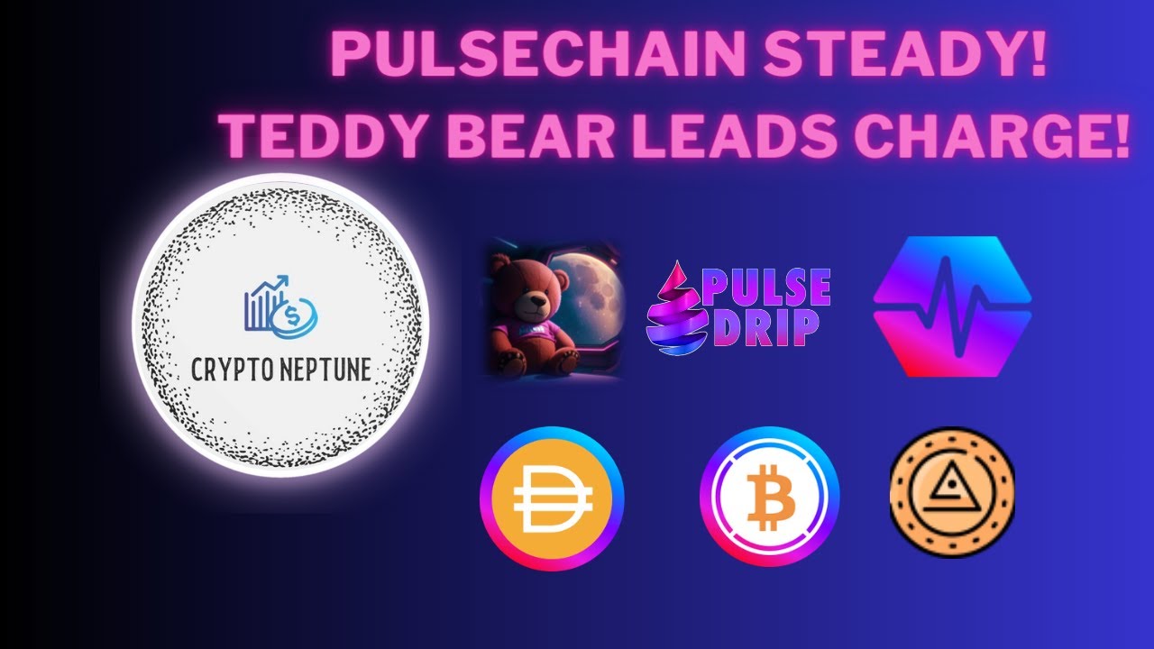 Pulsechain Steady! Teddy Bear Leads Charge!