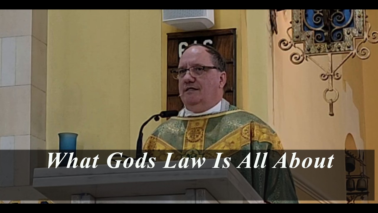 Homily, 6th Sunday in Ordinary Time, February 15, 2026