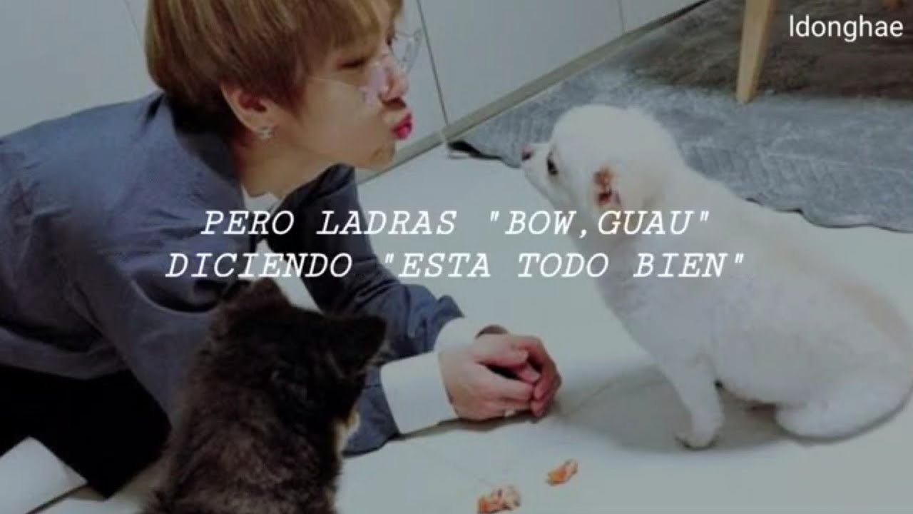 Yesung - Together // sub español