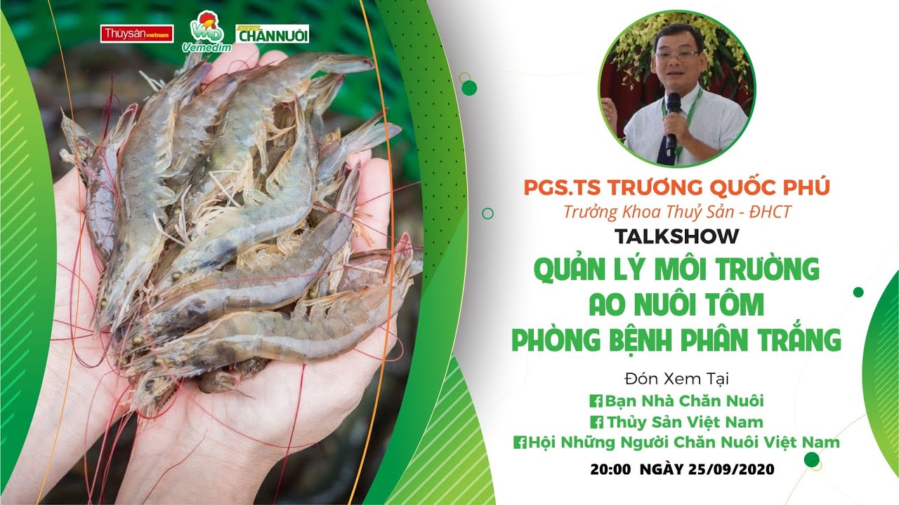 CÁC BIỆN PHÁP QUẢN LÝ MÔI TRƯỜNG AO NUÔI PHÒNG BỆNH PHÂN TRẮNG TRÊN TÔM