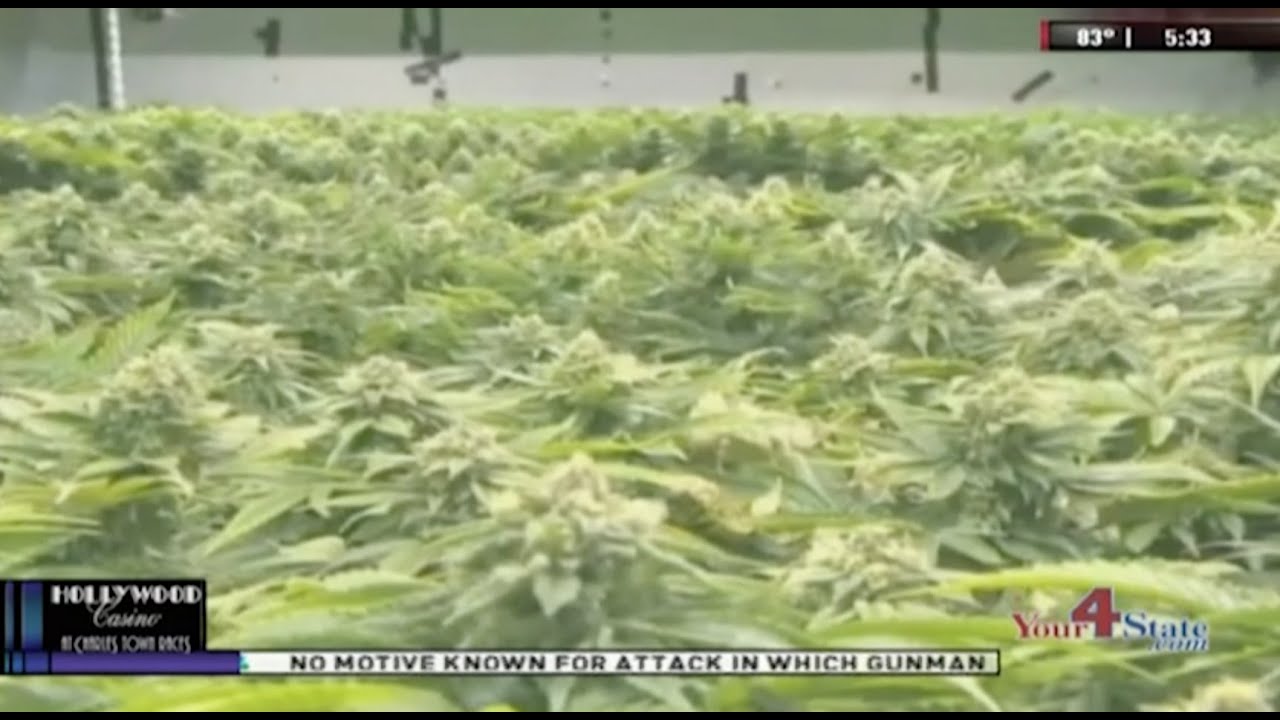 Future Medical Marijuana Facility