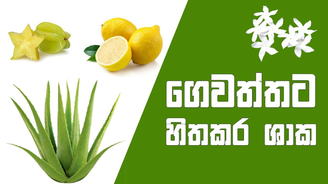 Ape Gedara Part 40 | ගෙවත්තට හිතකර ශාක