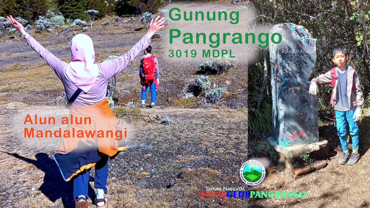 Pendakian Gunung Pangrango 3019 MDPL (Family Hiking)