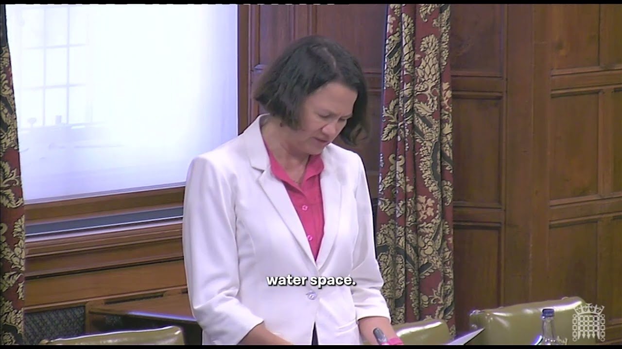 Westminster Hall debate - Access to Swimming
