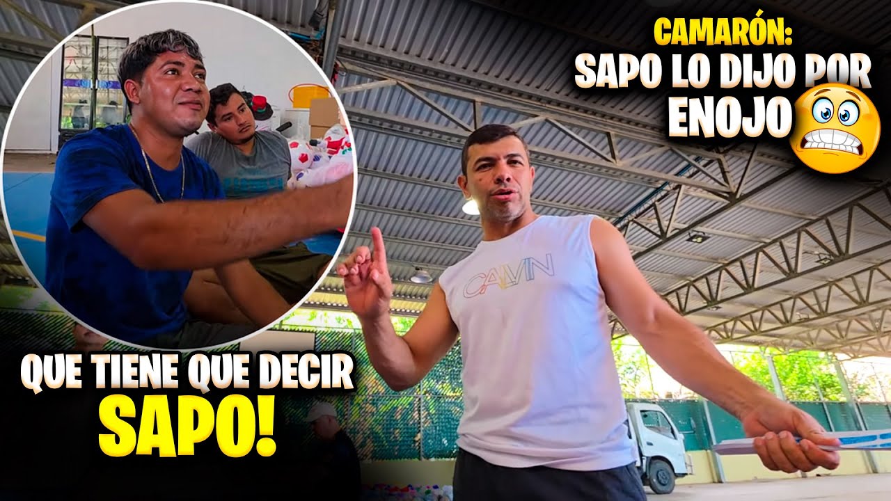 Le preguntamos a Camarón si ya disculpó a Sapo por decir que prefería a Elmer y no a él.