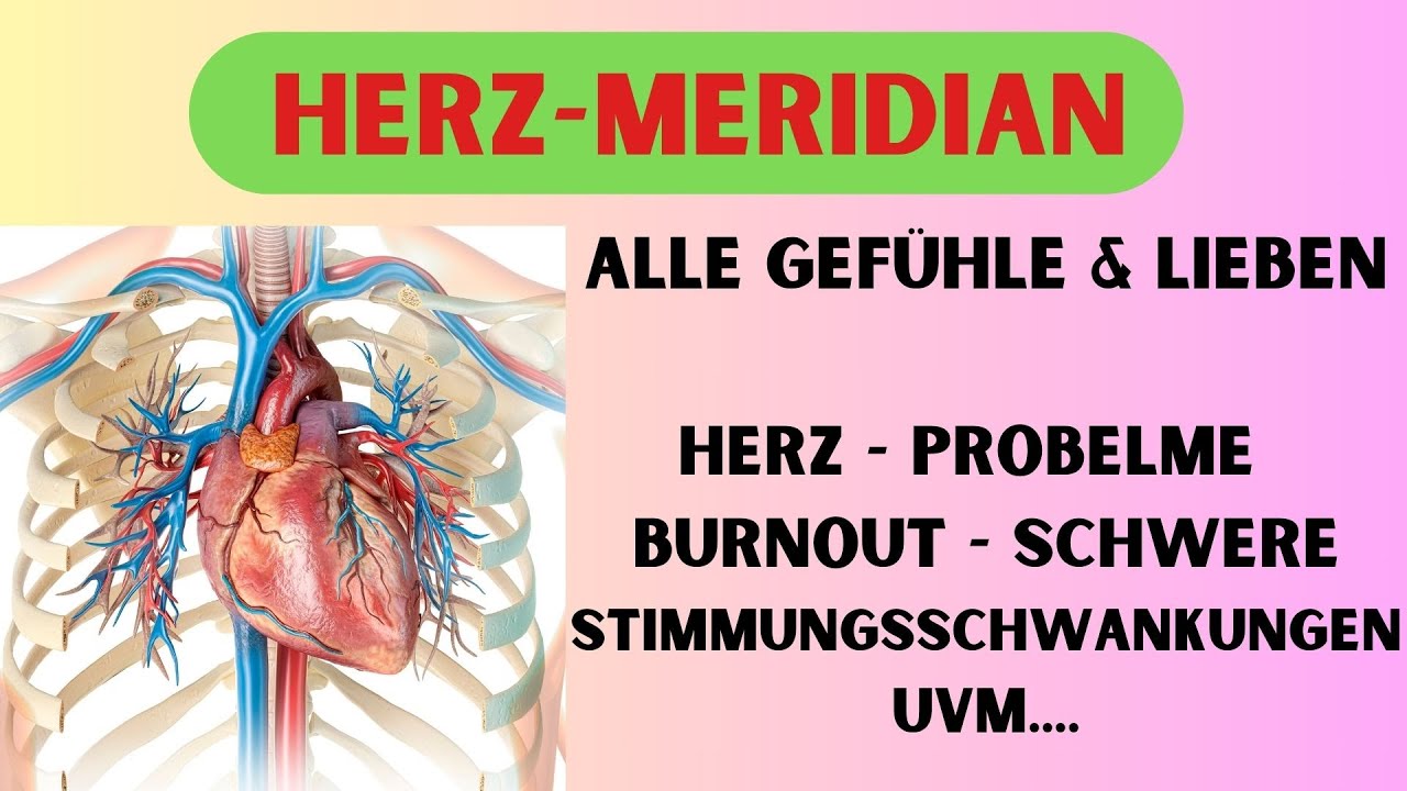 DEIN HERZMERIDIAN - Herzprobleme - Burnout - Schlaflosigkeit - Stimmungsschwankungen uvm