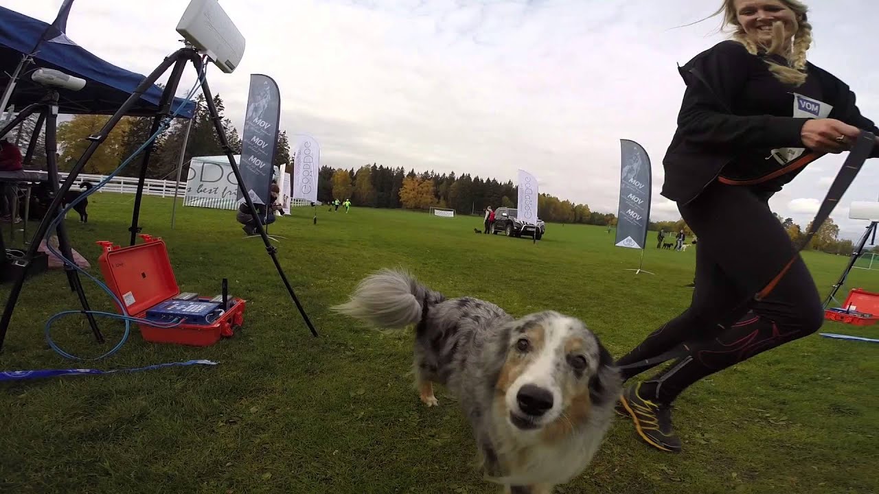 Vom Dogrun 2015