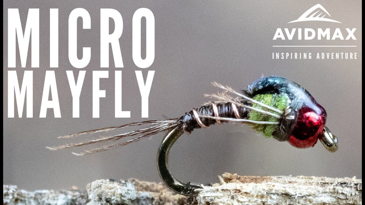 How to tie the Micro Mayfly | AvidMax Fly Tying Tuesday Tutorials
